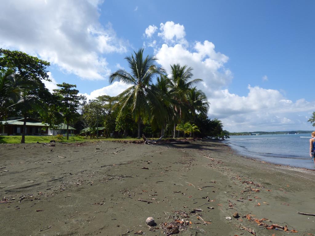 Corcovado Beach Lodge Puerto Jiménez Exterior foto