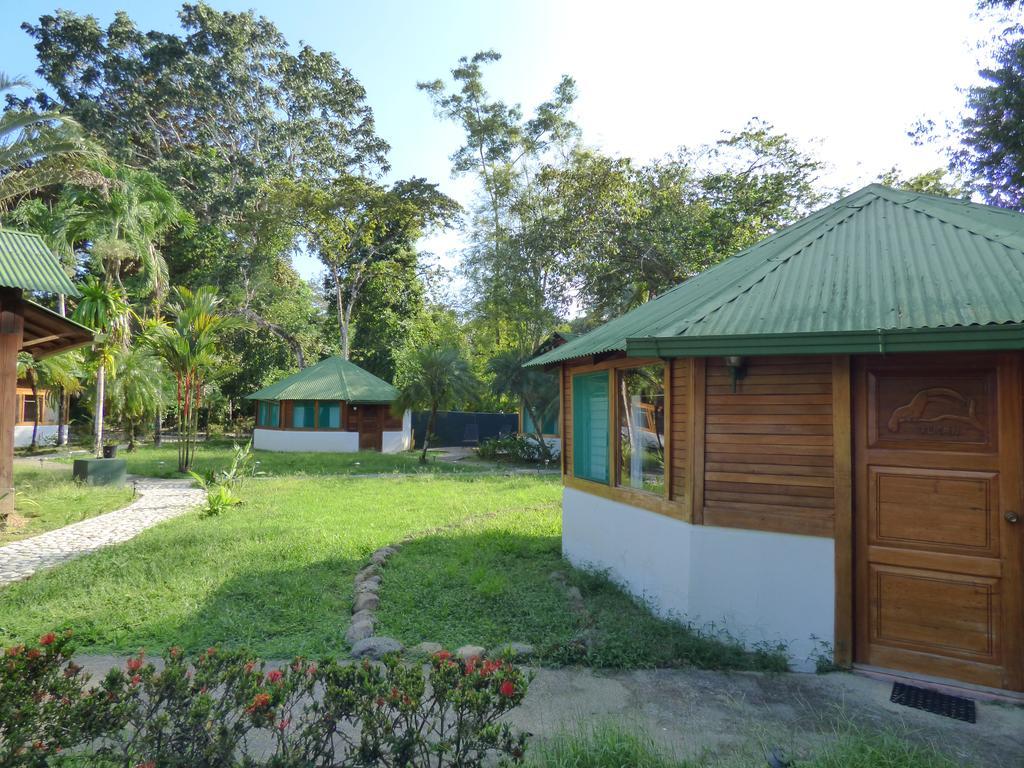 Corcovado Beach Lodge Puerto Jiménez Exterior foto